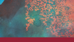 EPISTEMIC AMBIVALENCE PENTECOSTALISM AND CANDOMBLÉ IN A BRAZILIAN CITY
