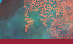 EPISTEMIC AMBIVALENCE PENTECOSTALISM AND CANDOMBLÉ IN A BRAZILIAN CITY