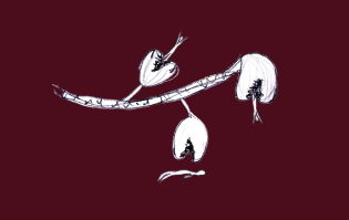 Vida ao Redor: modos de habitar no caminho de volta para casa<br>Giovanna Campos Lopes Vida ao Redor: modos de habitar no caminho de volta para casaGiovanna Campos Lopes