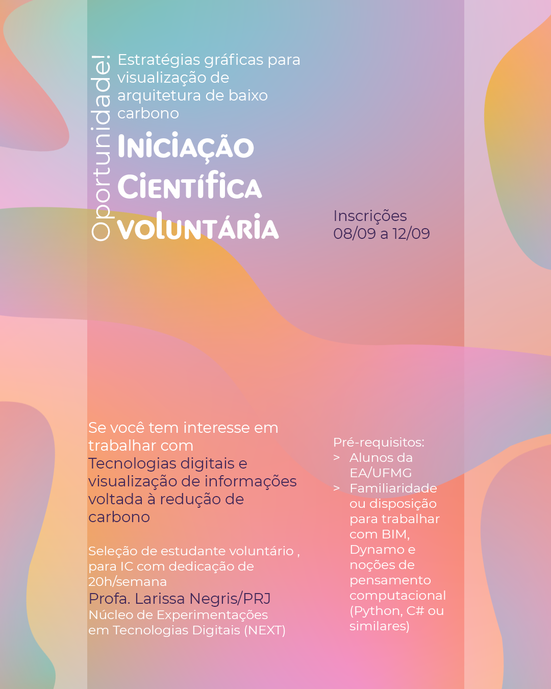 Iniciação Científica Voluntária (2025-2026)